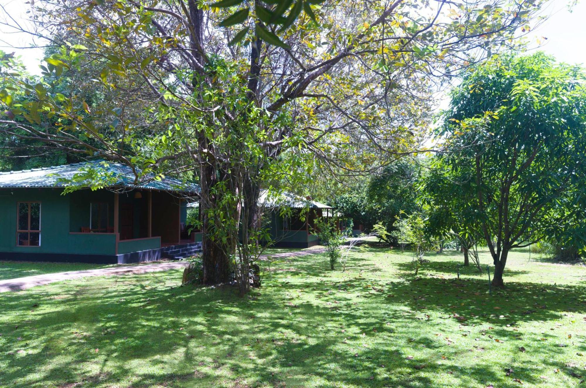 Pinthaliya Resort สิกิริยา ภายนอก รูปภาพ